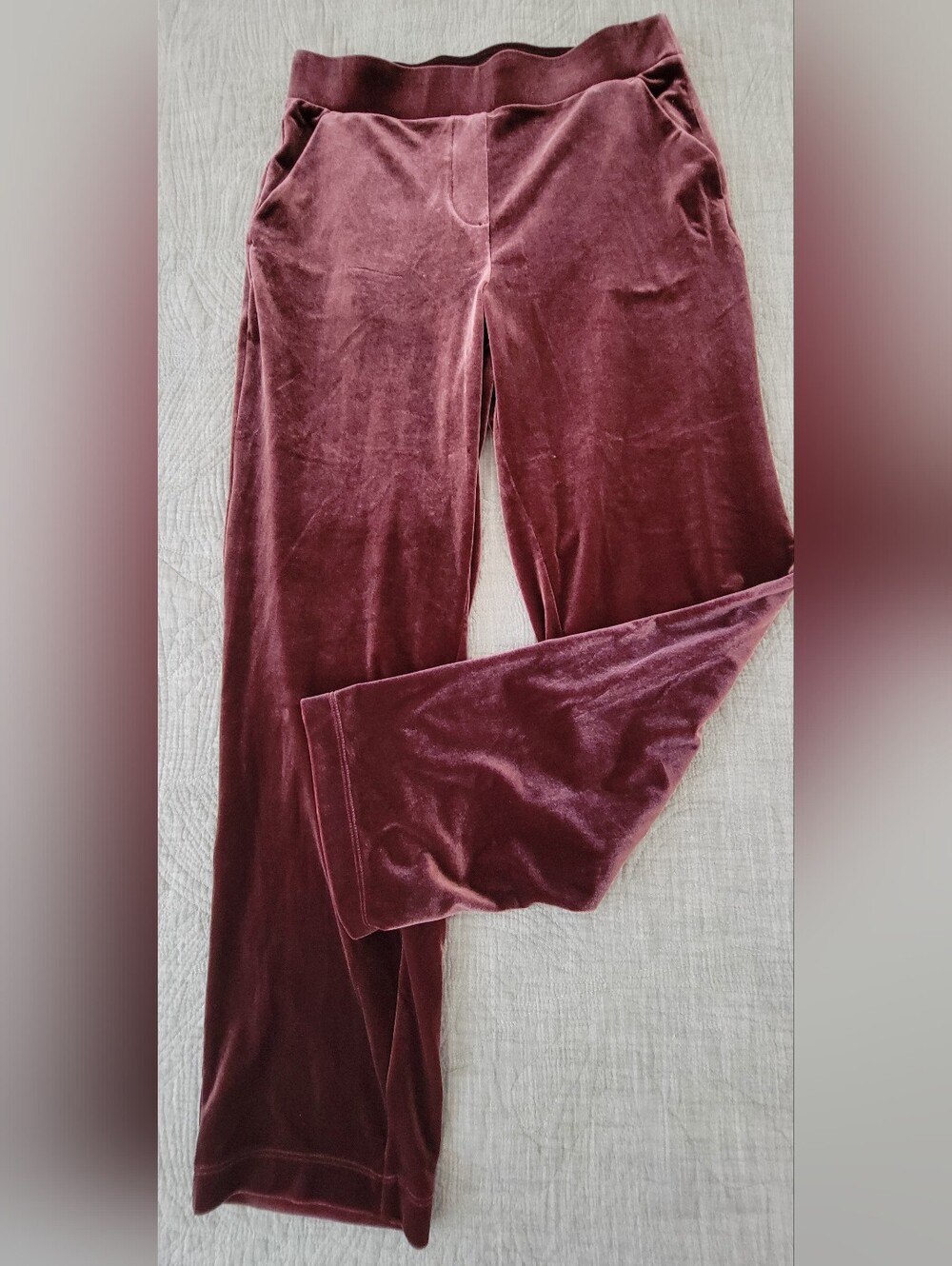 Women's LOFT Velvet Pants in Deep Plum S